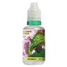 Rainbow Fruits Salt Hard - Watermelon 30мл (20мг)